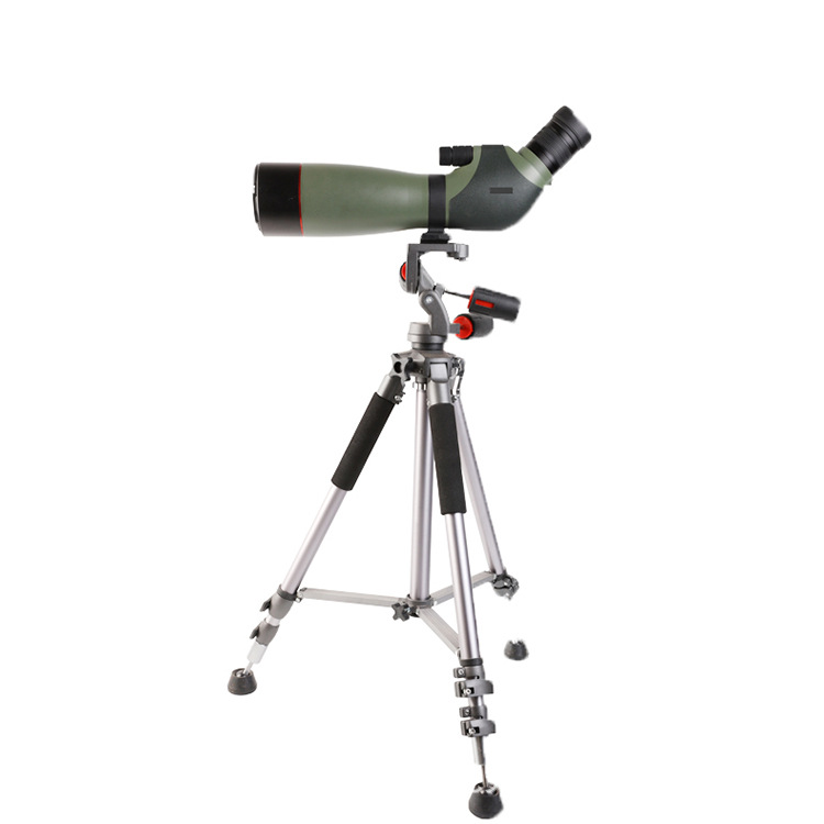 2025 Kunguang KG20-60X82ED bir - Woodworking Definition review and price